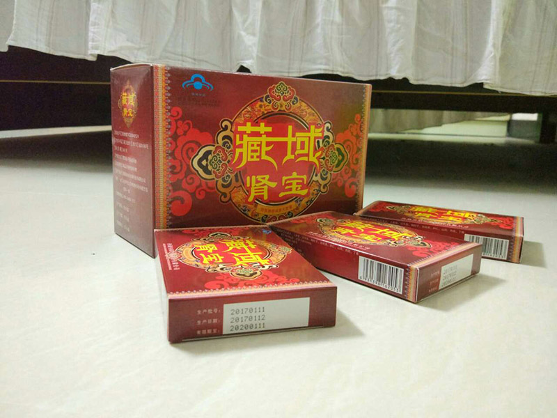 藏域肾宝