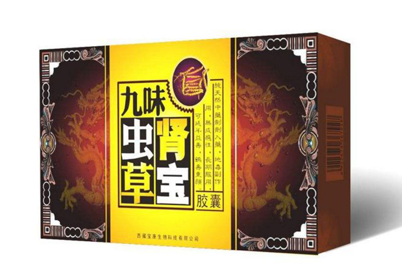 九味虫草肾宝